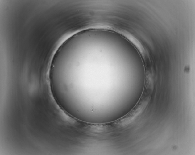 X0000103940959200809191414