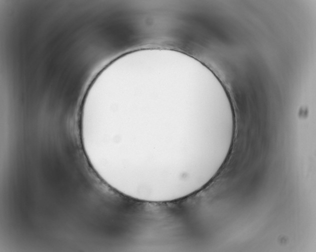 X0000103940960200809191414