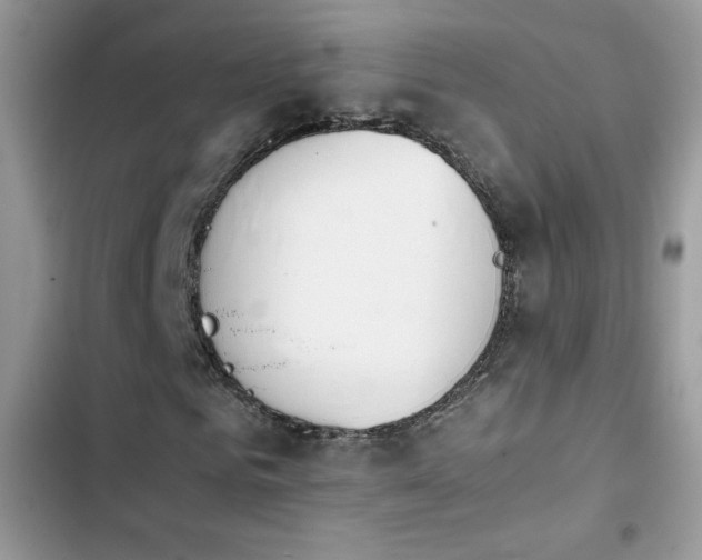 X0000103940961200809191413