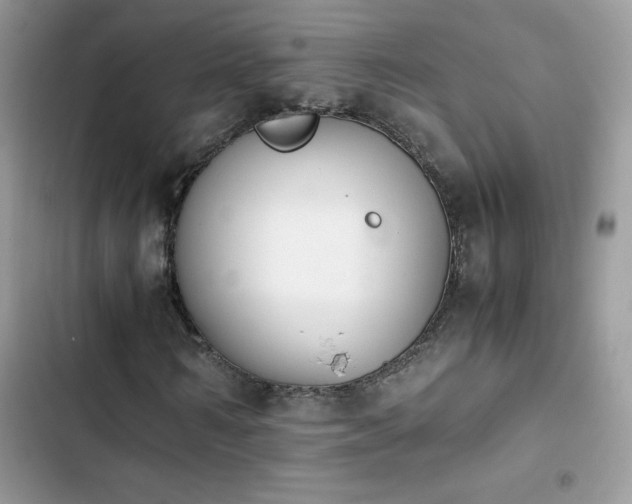 X0000103940962200809191413