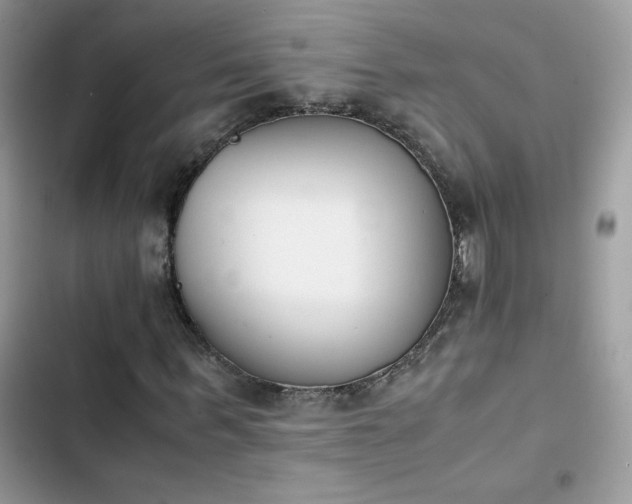 X0000103940963200809191413