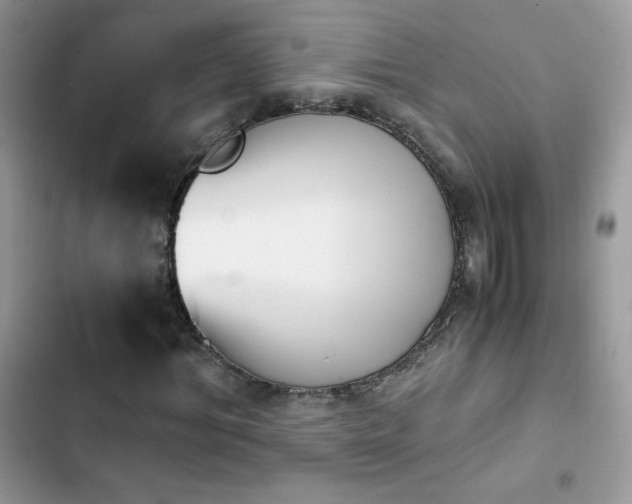X0000103940964200809191413
