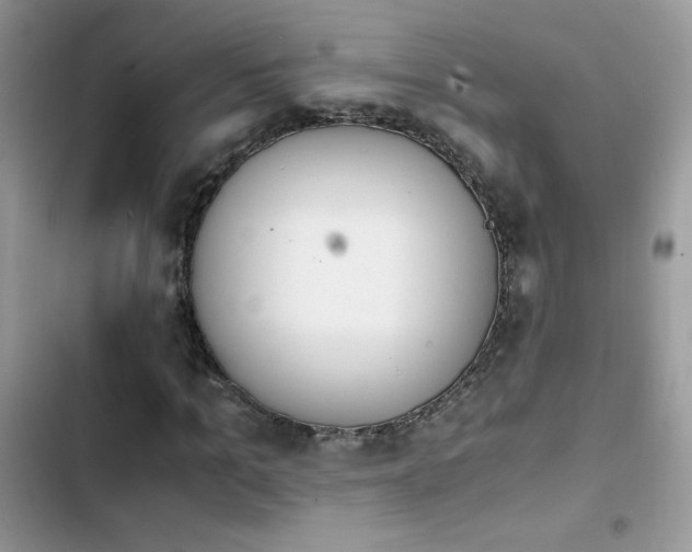 X0000103940965200809191413