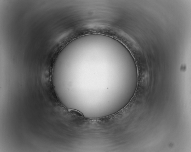 X0000103940966200809191413