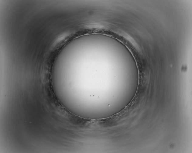 X0000103940967200809191413