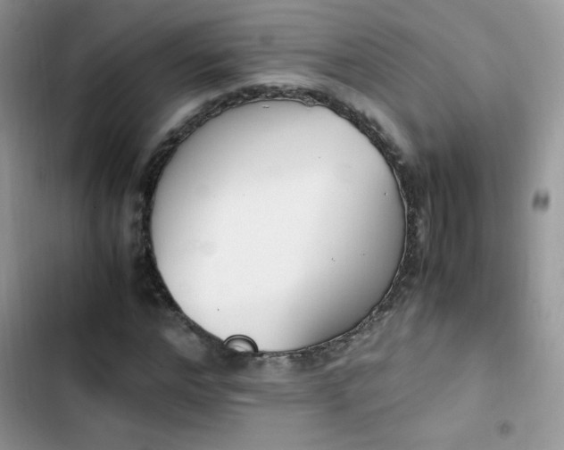 X0000103940968200809191413