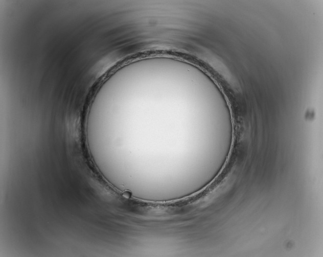 X0000103940969200809191413