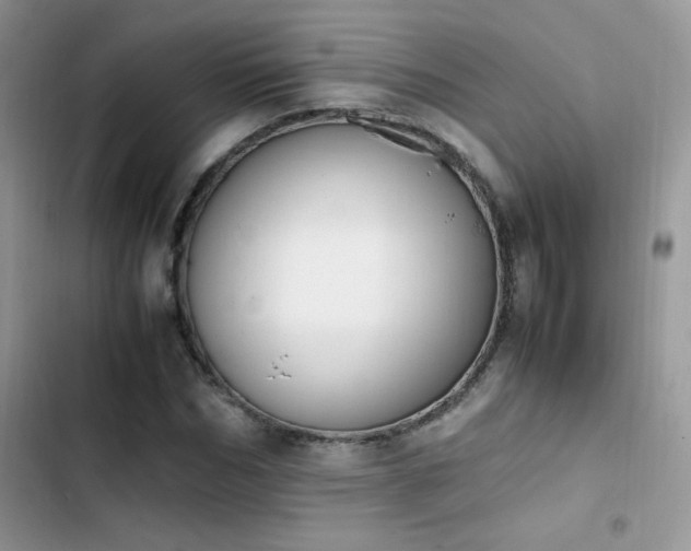 X0000103940970200809191413