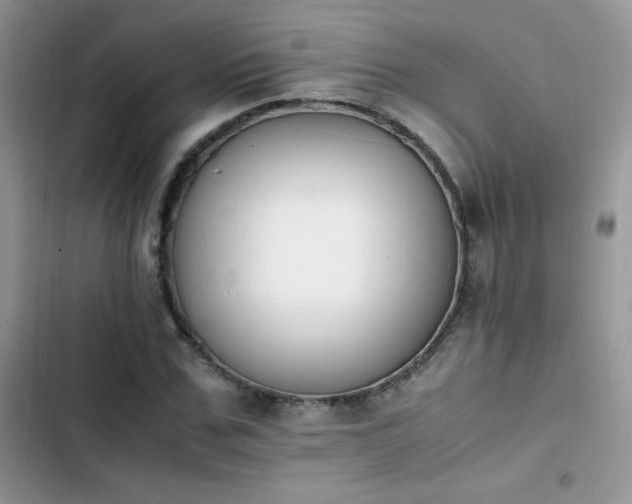 X0000103940971200809191413