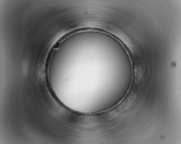 X0000103940972200809191413