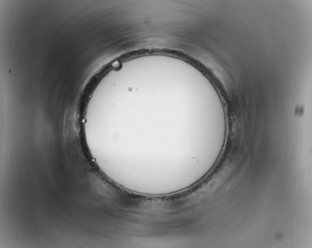 X0000103940973200809191413