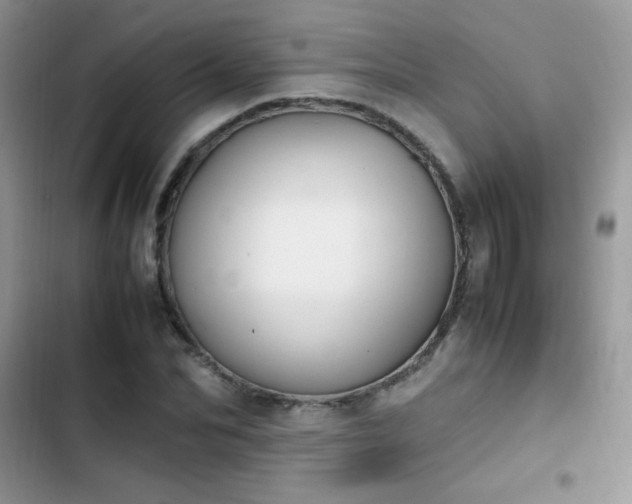 X0000103940974200809191413
