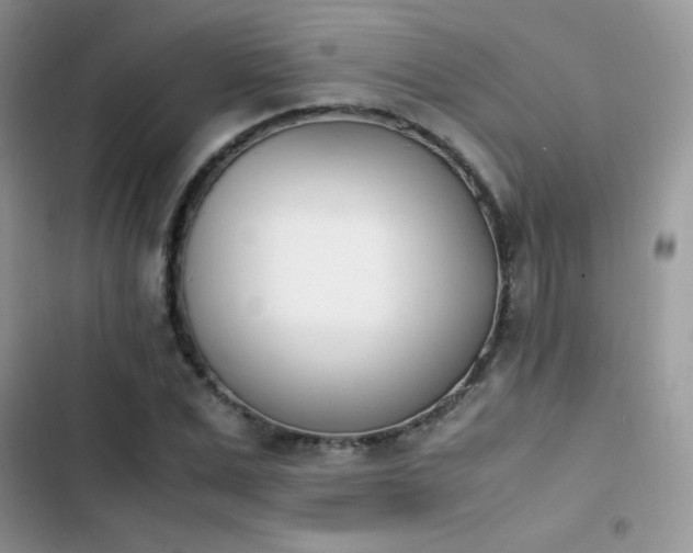 X0000103940975200809191413
