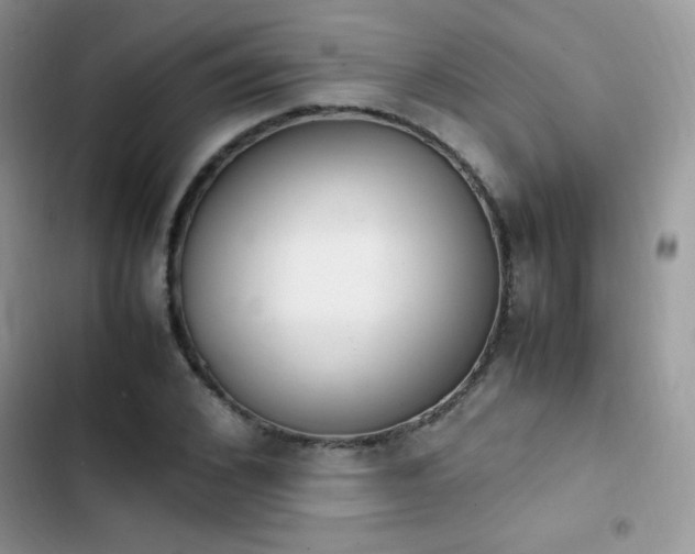 X0000103940976200809191413