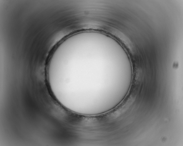 X0000103940978200809191413