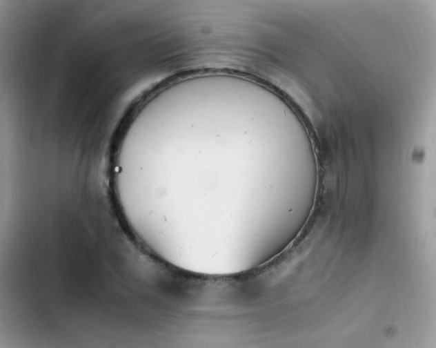 X0000103940979200809191413