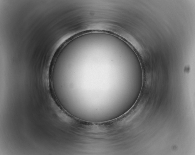 X0000103940980200809191413