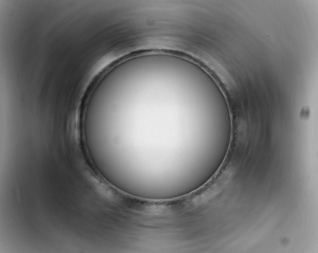 X0000103940982200809191413