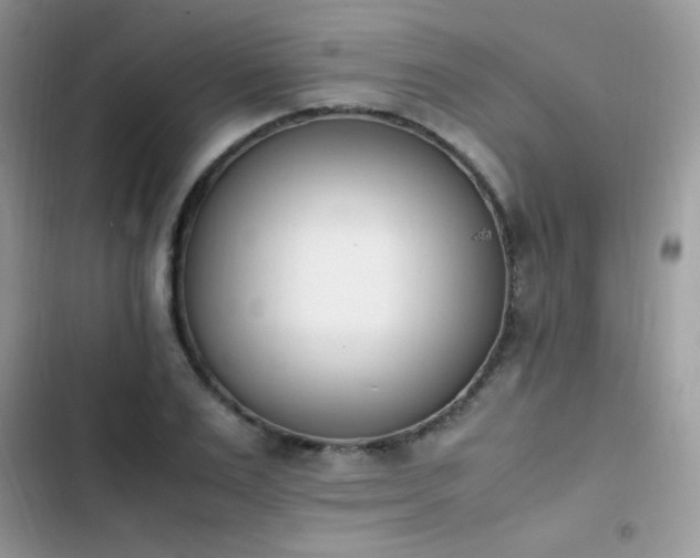 X0000103940983200809191413
