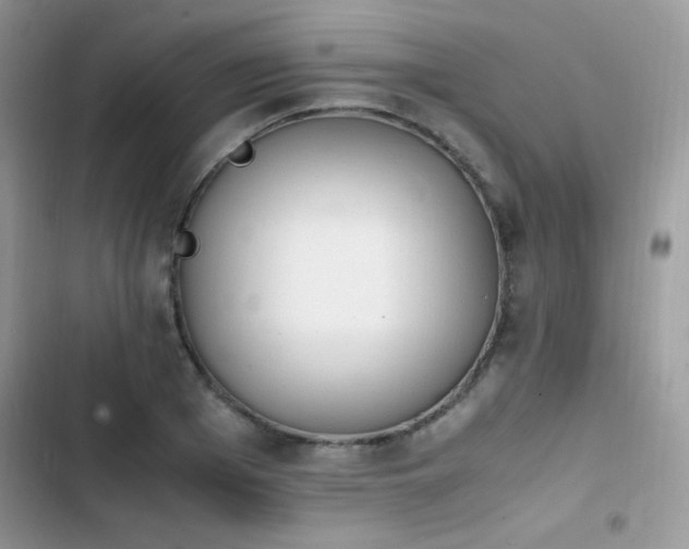 X0000103940985200809191413