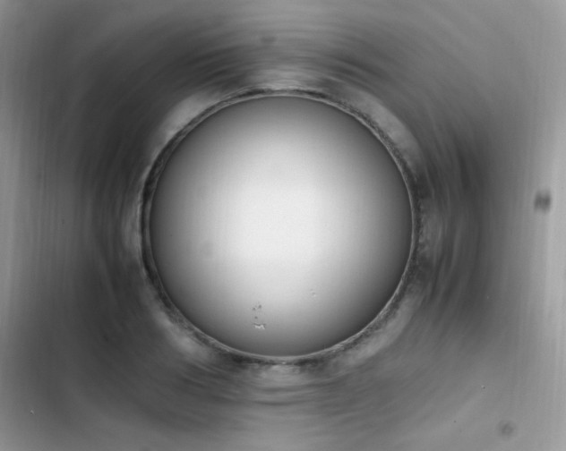 X0000103940986200809191413