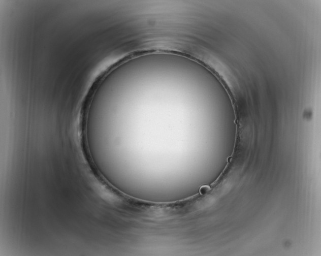 X0000103940987200809191413