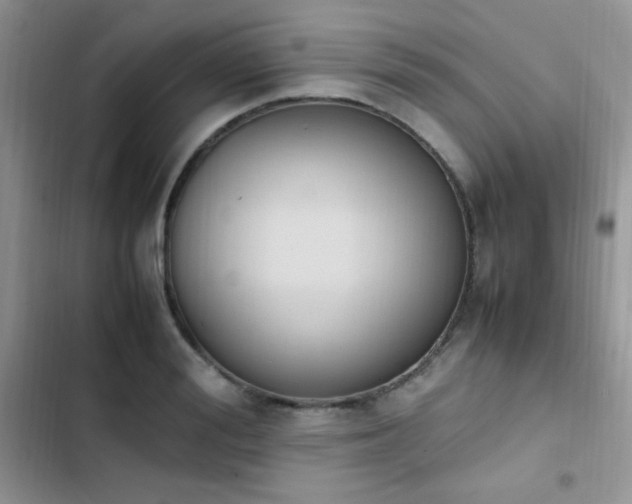 X0000103940988200809191413