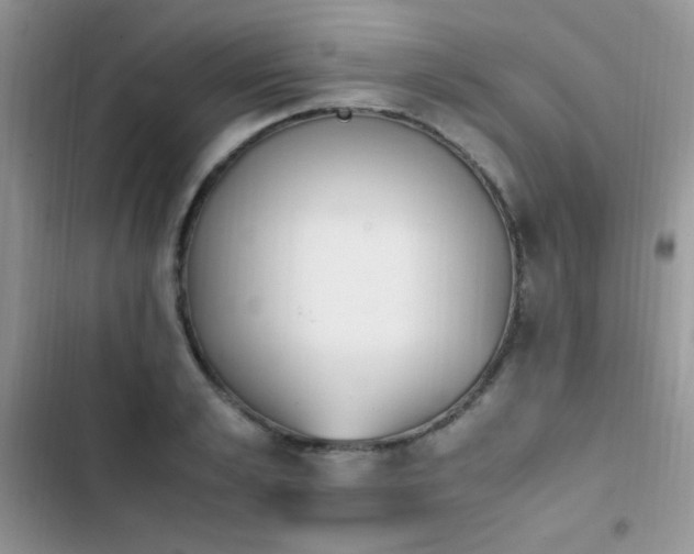 X0000103940989200809191413