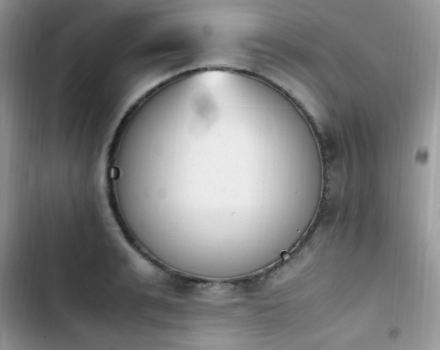 X0000103940991200809191413