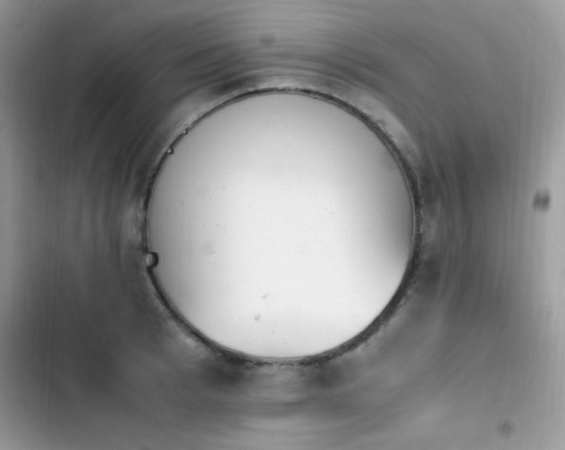 X0000103940993200809191413