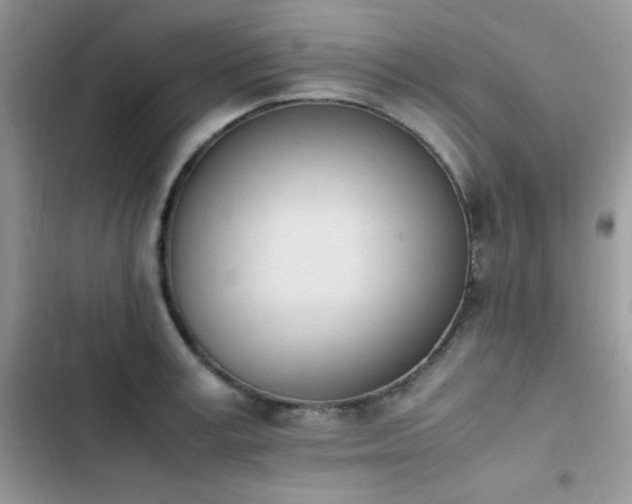 X0000103940995200809191413