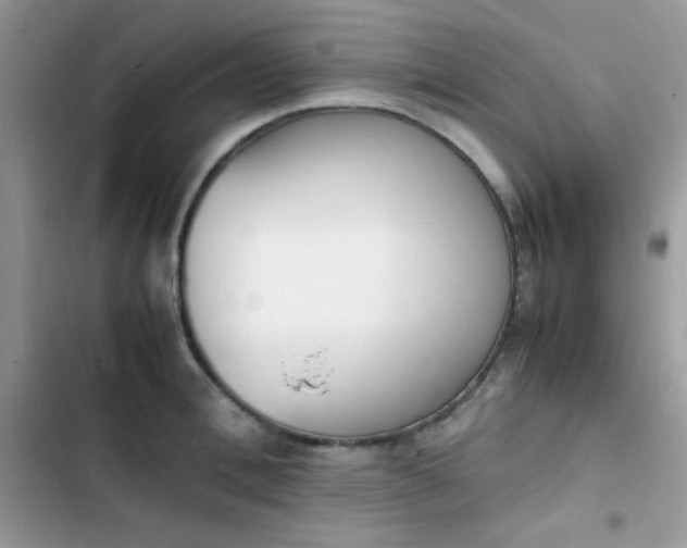 X0000103940996200809191413