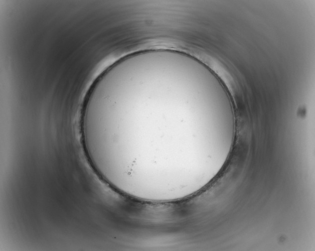 X0000103940997200809191413