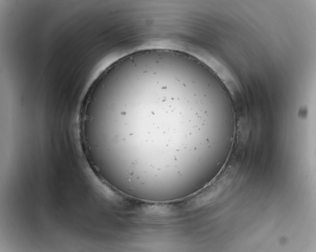 X0000103940998200809191413