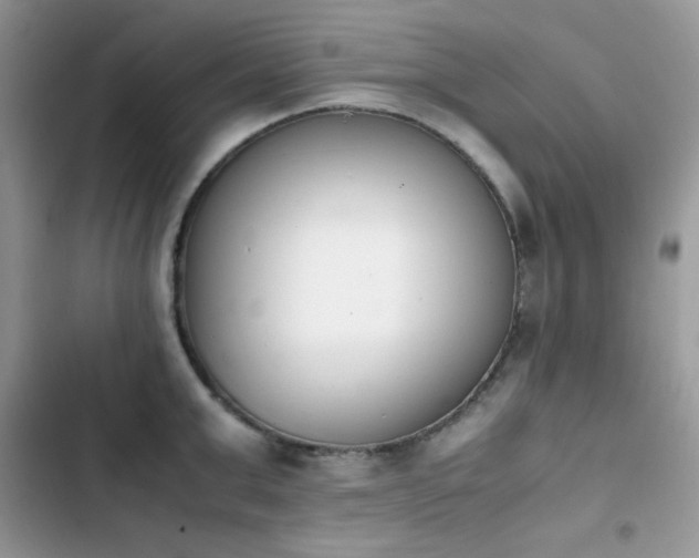 X0000103940999200809191413