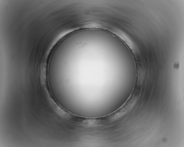 X0000103941000200809191413