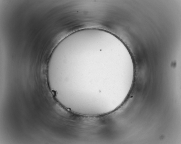 X0000103941001200809191413