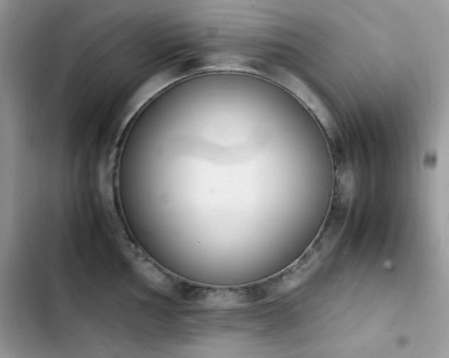 X0000103941002200809191413