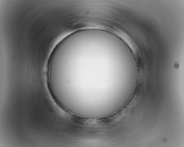 X0000103941003200809191413