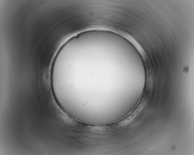 X0000103941004200809191413