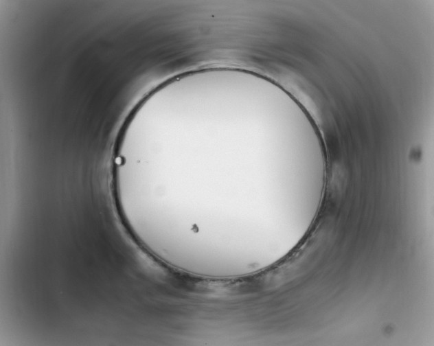 X0000103941005200809191413
