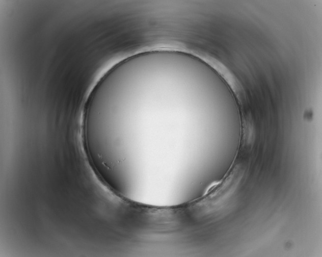 X0000103941006200809191413