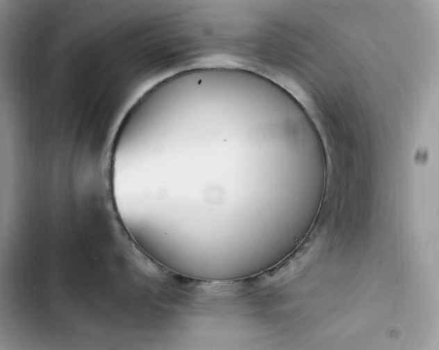 X0000103941008200809191412
