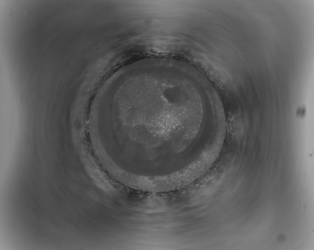 X0000103941009200809191412