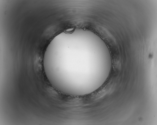 X0000103941010200809191412