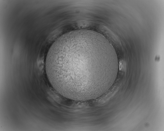 X0000103941011200809191412