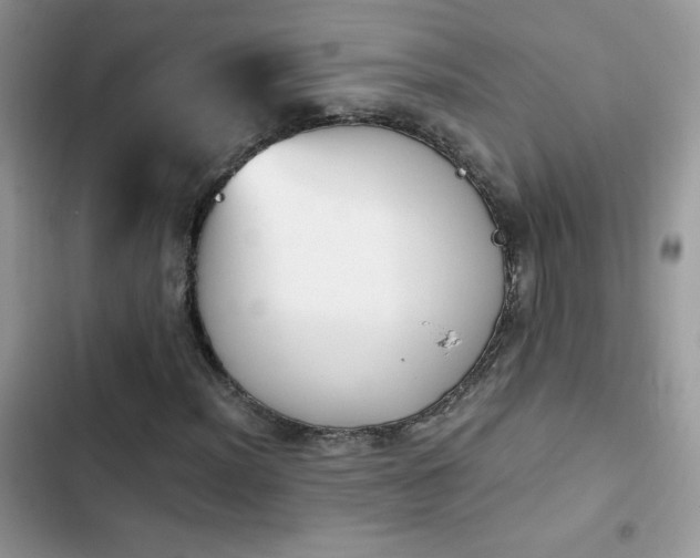 X0000103941012200809191412
