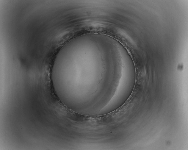 X0000103941013200809191412