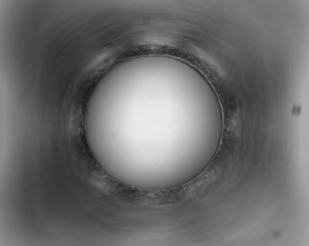 X0000103941014200809191412