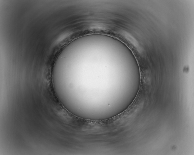 X0000103941015200809191412